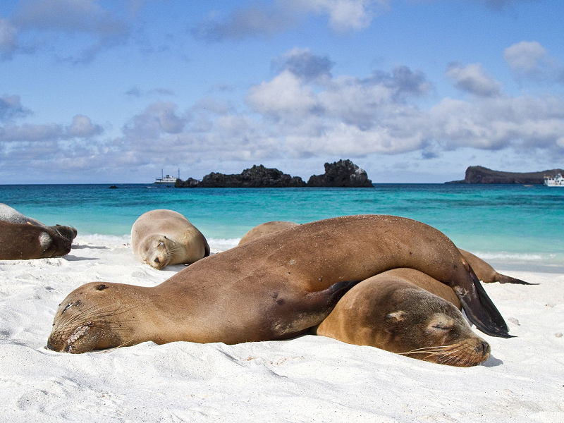 tour a galapagos desde ecuador