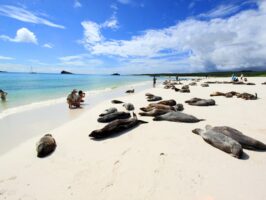 Tour a Galapagos magico