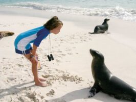 Tour islas Galapagos mas navegacion