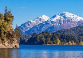 Esencias de Argentina