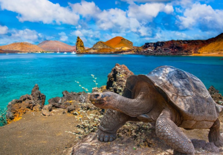 Isla Santa Cruz Galápagos
