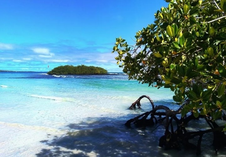 Tortuga Bay 2 Tortuga Bay 2